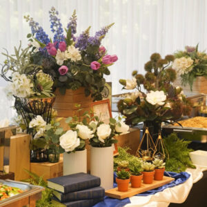 <strong>Wellness Feast</strong>